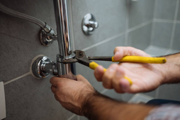 Best Plumbing Inspections & Maintenance in Skyline, AL